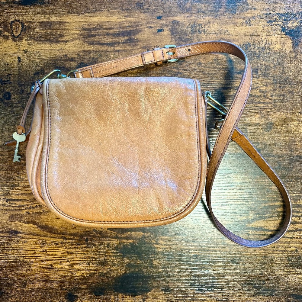 Fossil Saddlebag
